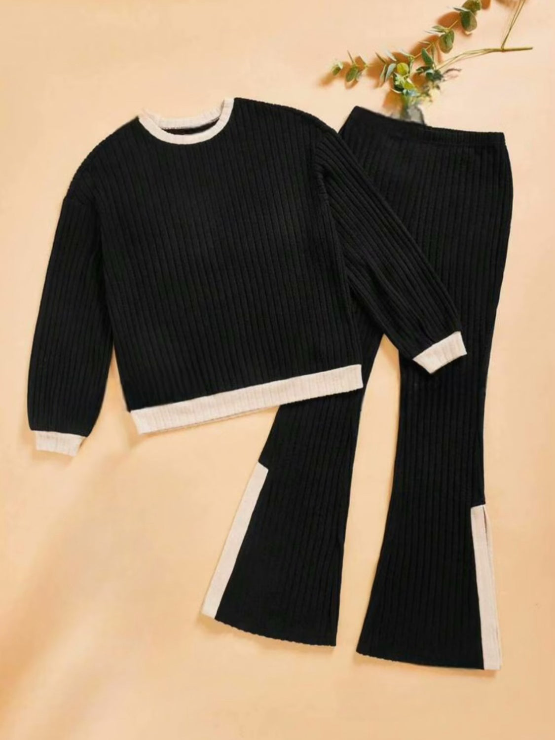 Contrast Round Neck Long Sleeve Top and Pants Set